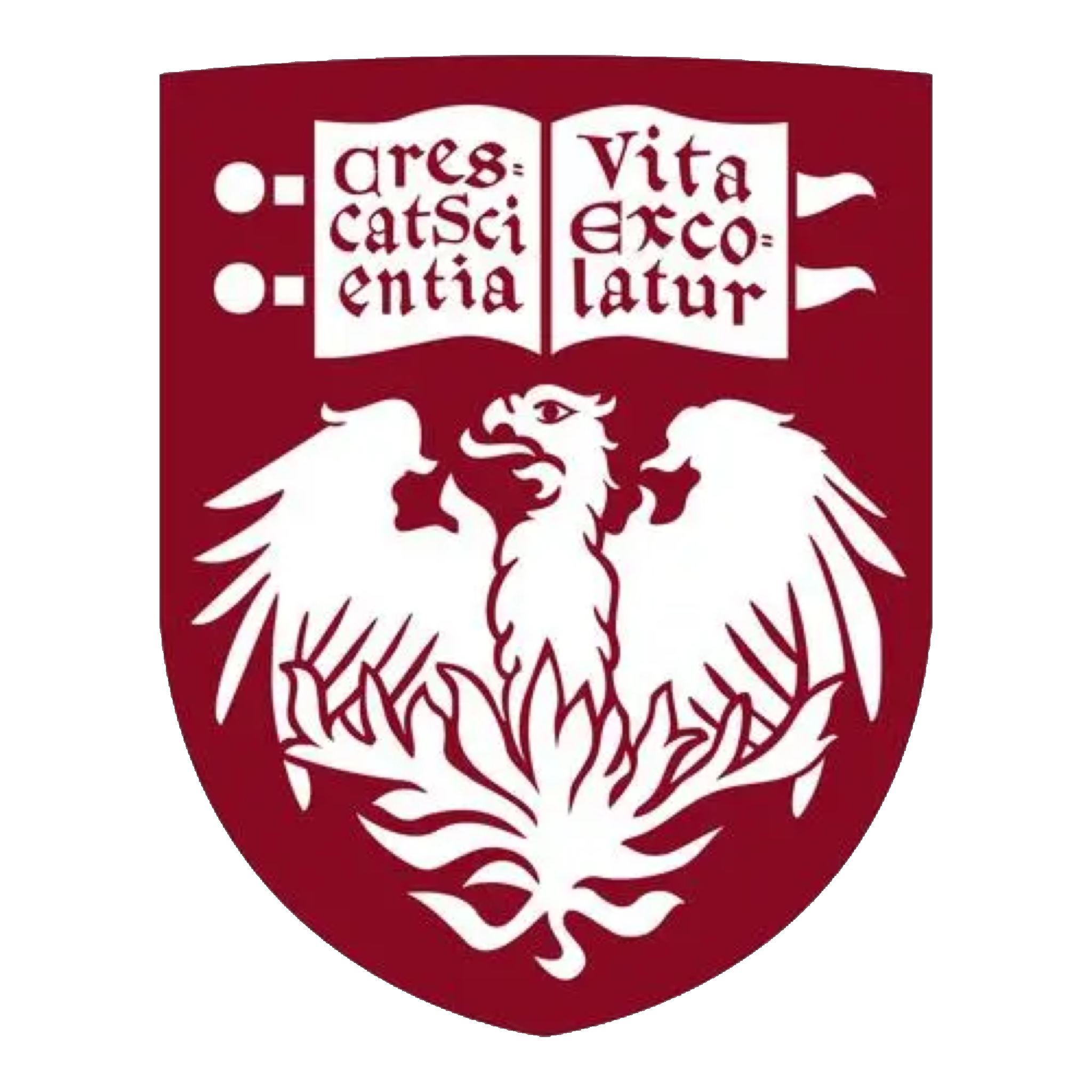 芝加哥大学
