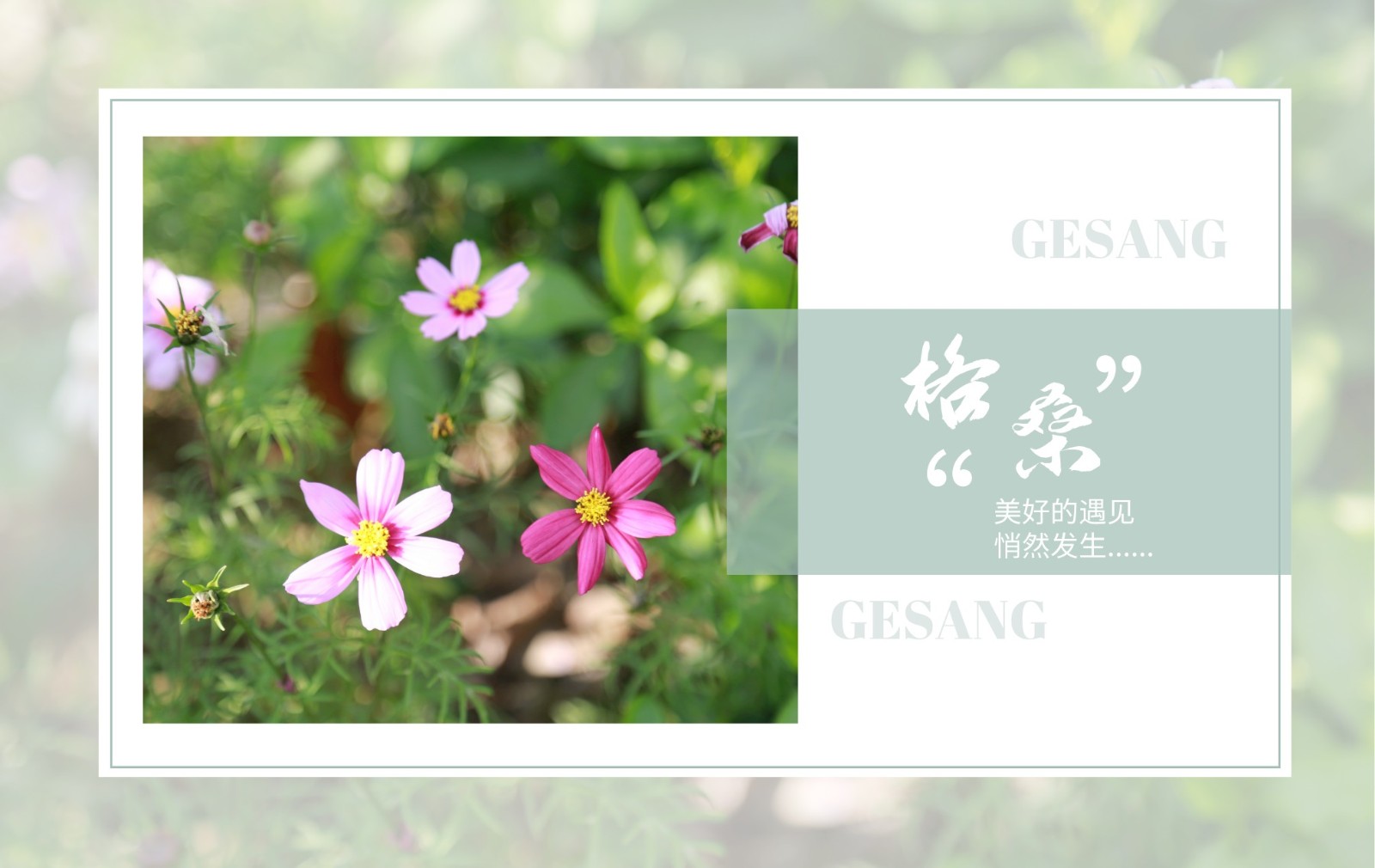 遇见，GCGS的春日晴窗 | Embracing Spring in GCGS